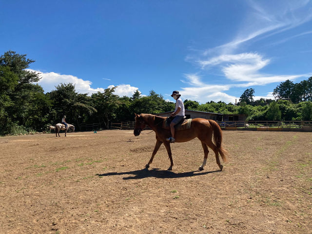 HORSE BASE