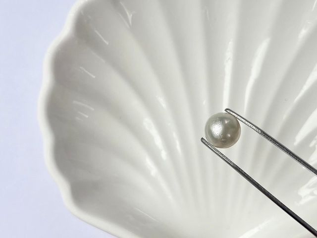貝から出てきた“海の宝石”本真珠を見つけたときの感動は凄いです☆_真珠体験 HAPPY PEARL