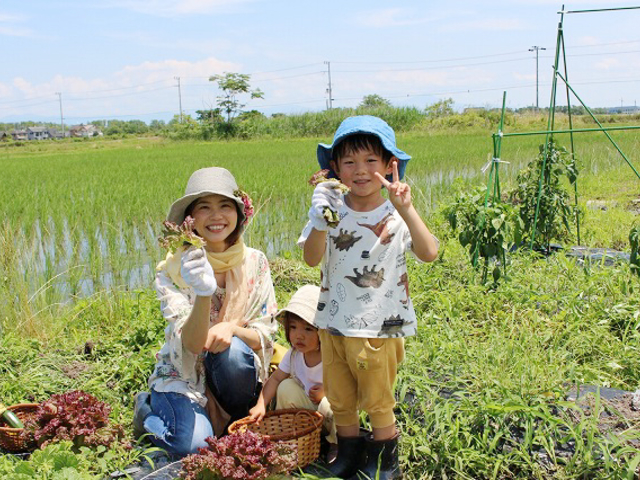 当館の農園”ハリエ農園"では農業体験ができます。_ラシーヌホーム針江