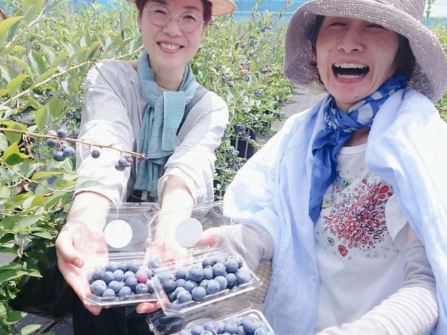 お持ち帰りもできます_ブルーベリーガーデン伊吹