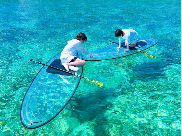 透明のボードなので海の底まで見えちゃいます!!お魚やウミガメが通るかも?!_Pada miyako