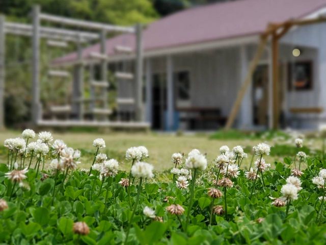 種子島ジェラートHOPE