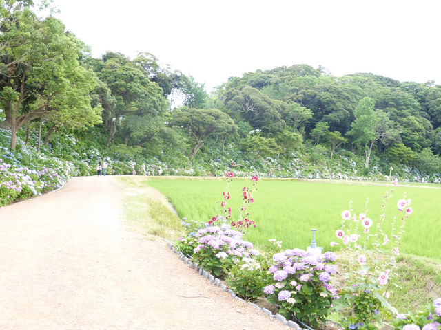 二本松寺