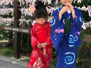 ちゅら桜の写真3