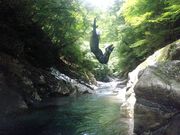 ワイルドウインドの写真4