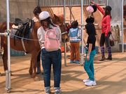 特定非営利活動法人アヴニールファームの写真3