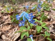 北海道ガイド禅の写真3