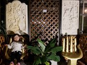 トロピカルフルーツのジャングル探検植物園の写真3