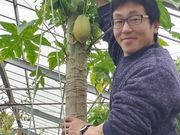 トロピカルフルーツのジャングル探検植物園の写真4