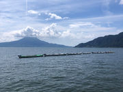Wind and Wavesの写真2