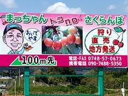 まっちゃんトコnoさくらんぼの写真2