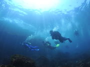 SEA DROP HAYAMA DIVERSの写真3