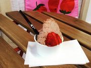いちご農園 雅ファーム 苺いちえの写真2