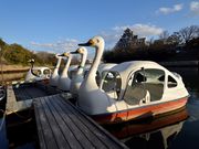 Caf'e&Restaurant&Boating 碧水園の写真2