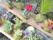 倉敷グリーンファームの写真2