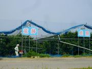 ほたるの里 荒井農園の写真2