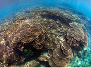 ARK Diving Shop 串本店の写真2