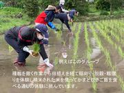 農家民宿ひなたの写真2