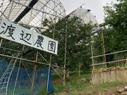 渡辺農園の写真3