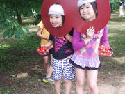 阿部さくらんぼ園の写真3