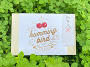 humming birdの写真2