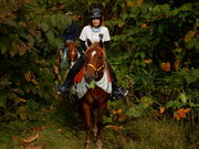 Horse back countryの写真4