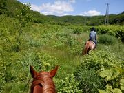 Horse back countryの写真3