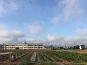 綾善farmの写真2