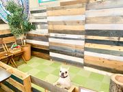 日野市八王子市ポーセラーツ教室 Salon de Arabesque カフェ MERRY and BRIGHT教室の写真4