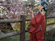 松戸の着付け教室 Respirar(レスピラール)の写真3