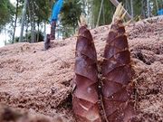 あかま里山農園(飯野村)の写真2