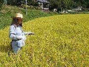 あかま里山農園(飯野村)の写真3