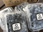 ブルーベリー畑 まーるいかんぱにーの写真4
