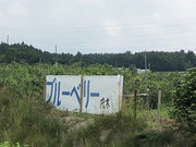 茂木ブルーベリー園の写真3