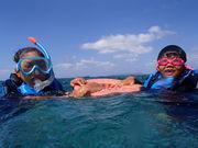 石垣島ブルーシーサーの写真3