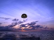 石垣島ブルーシーサーの写真4