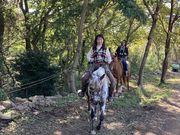 HORSE BASEの写真2