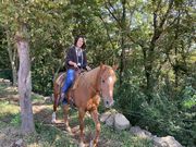 HORSE BASEの写真3