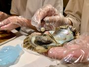 真珠体験 HAPPY PEARLの写真2