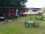 ブルーベリーガーデン伊吹の写真4