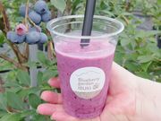 ブルーベリーガーデン伊吹の写真2