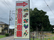 安田果樹園の写真2