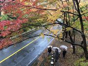 Shiobara viva/塩原ビバの写真2