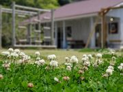 種子島ジェラートHOPEの写真2