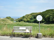 大坪だんだんファームの写真3