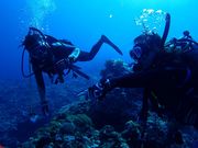 マリンハウス シーパラダイスの写真2