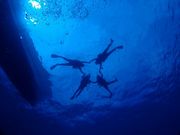 マリンハウス シーパラダイスの写真3