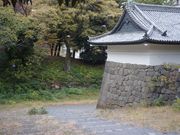 龍宮城工作室の写真2