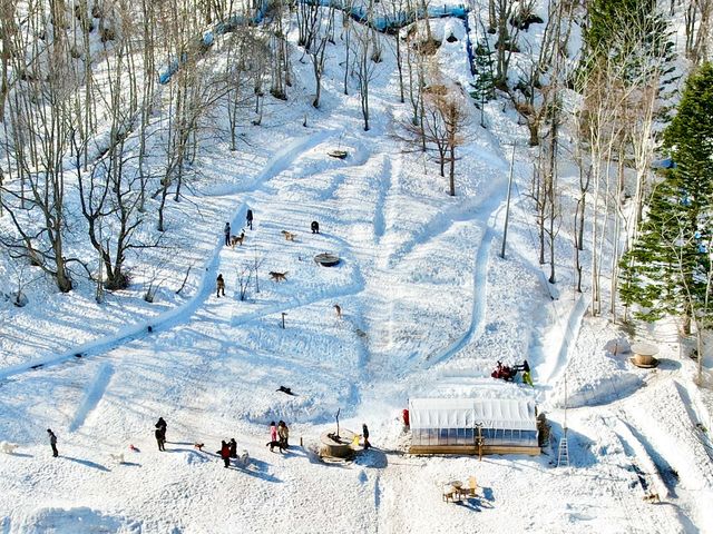 2022年降雪期(春)フィールドの様子です。_I(あい)犬の森 DOG ADVENTURE CENTER