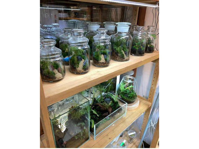 花の店いしい
